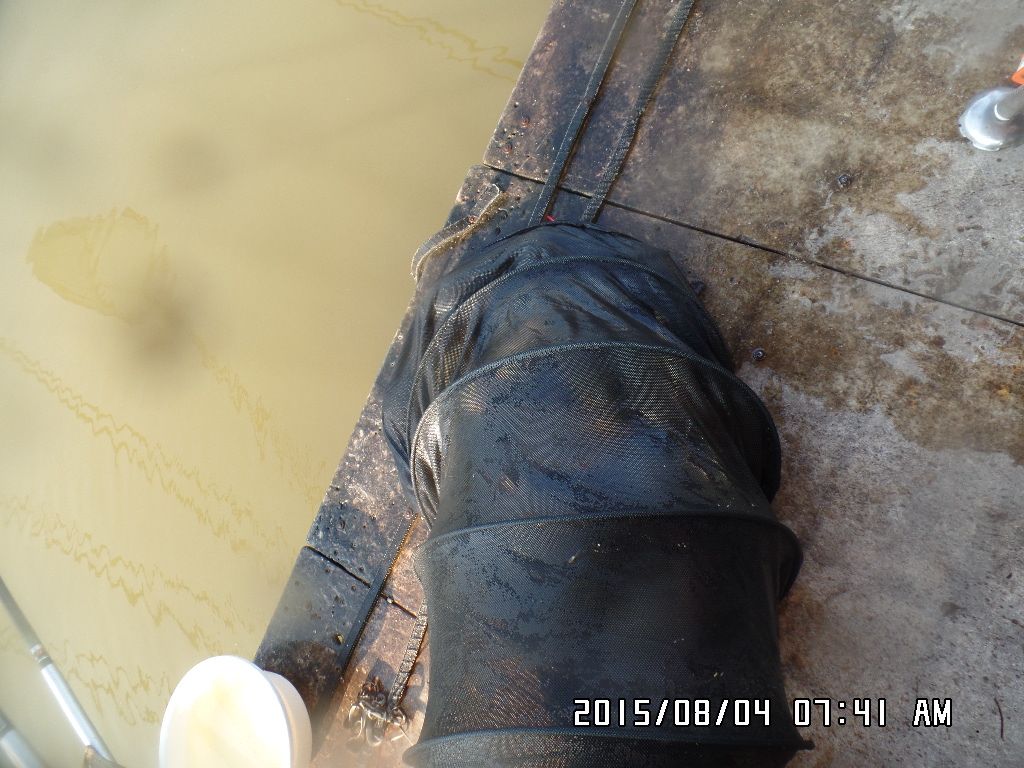 SAM_8102.JPG