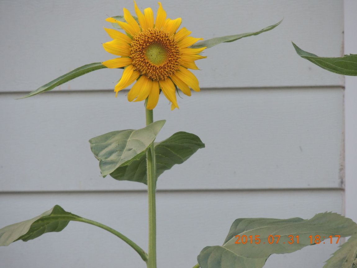 DSCN9740.JPG