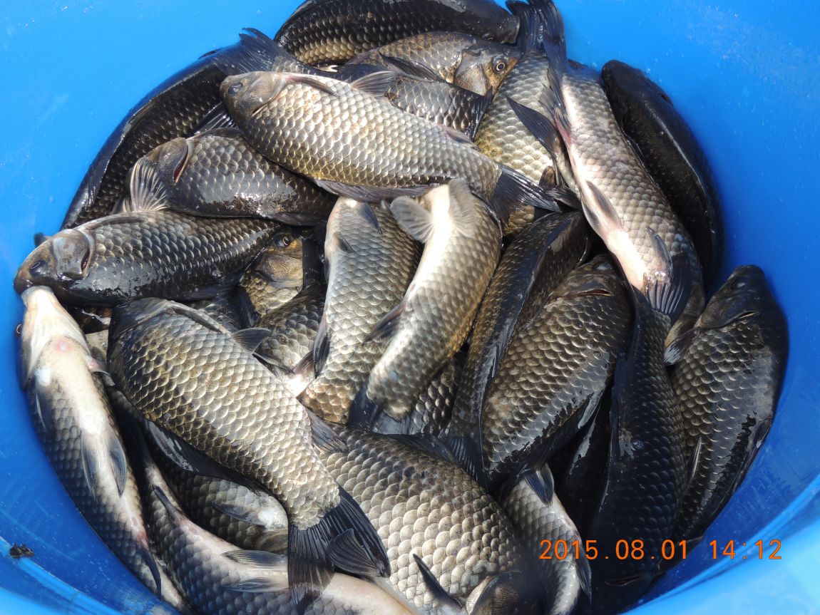 DSCN9756.JPG
