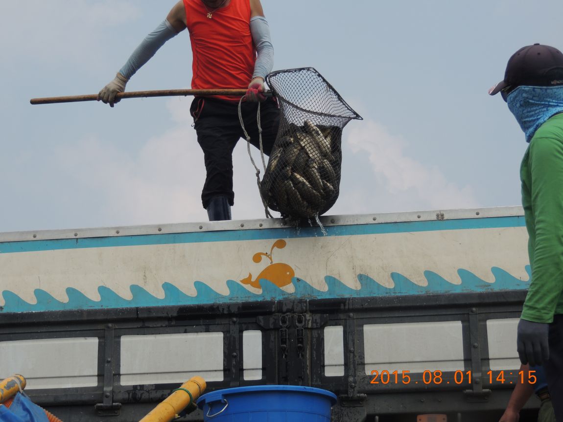 DSCN9768.JPG