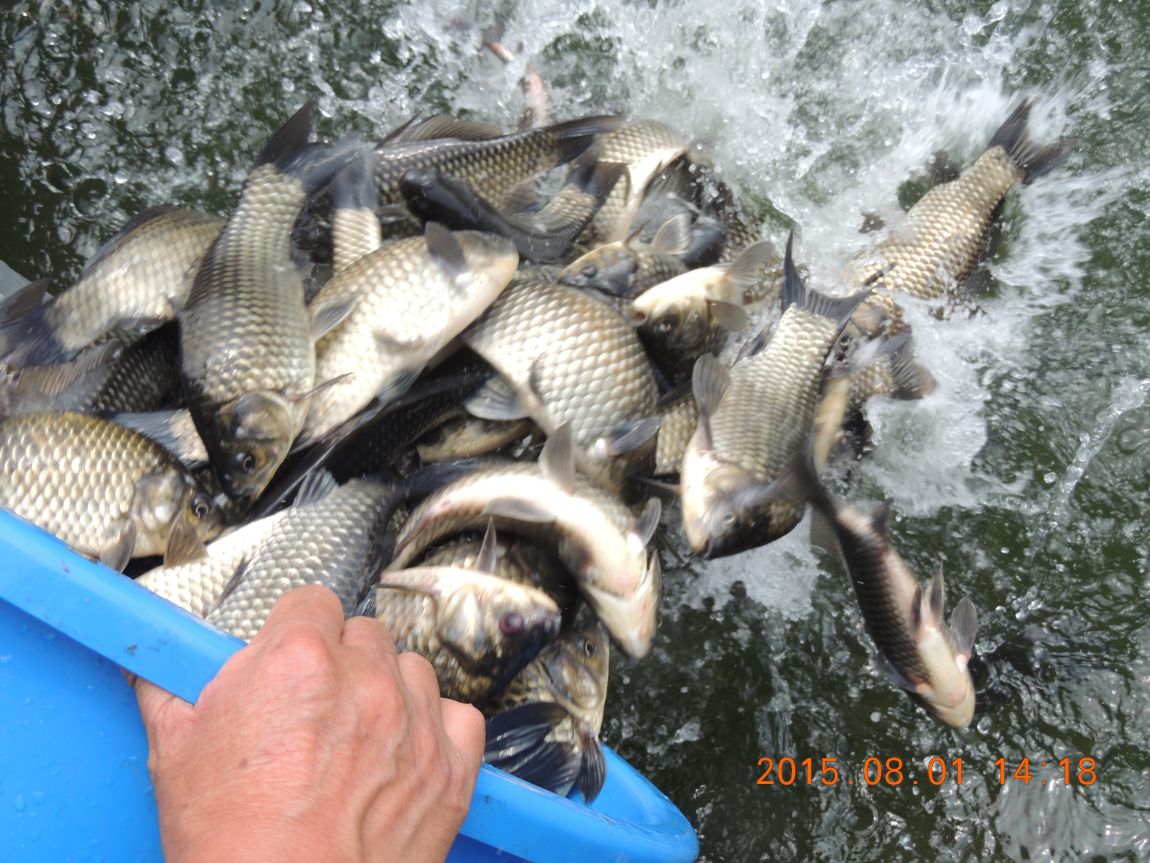 DSCN9777.JPG