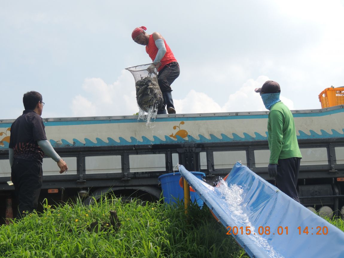 DSCN9780.JPG