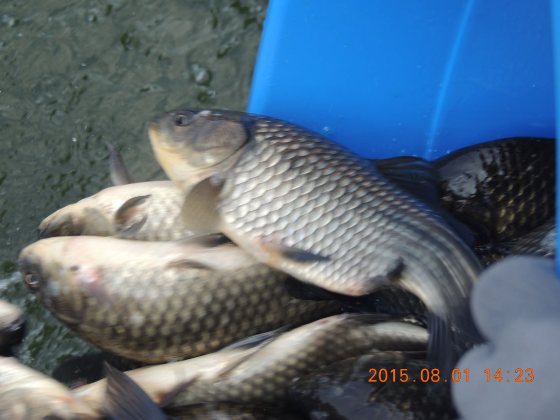 DSCN9790.JPG