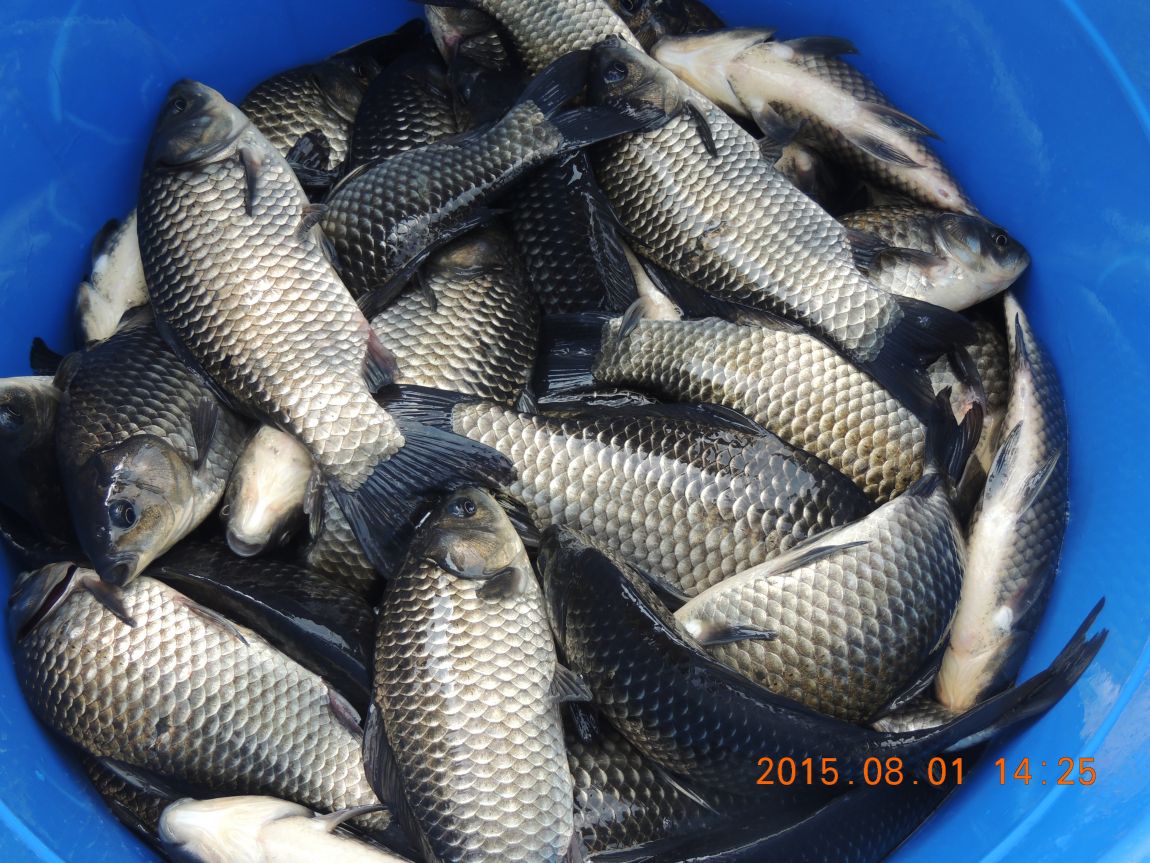 DSCN9795.JPG