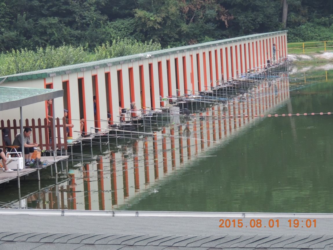 DSCN9803.JPG