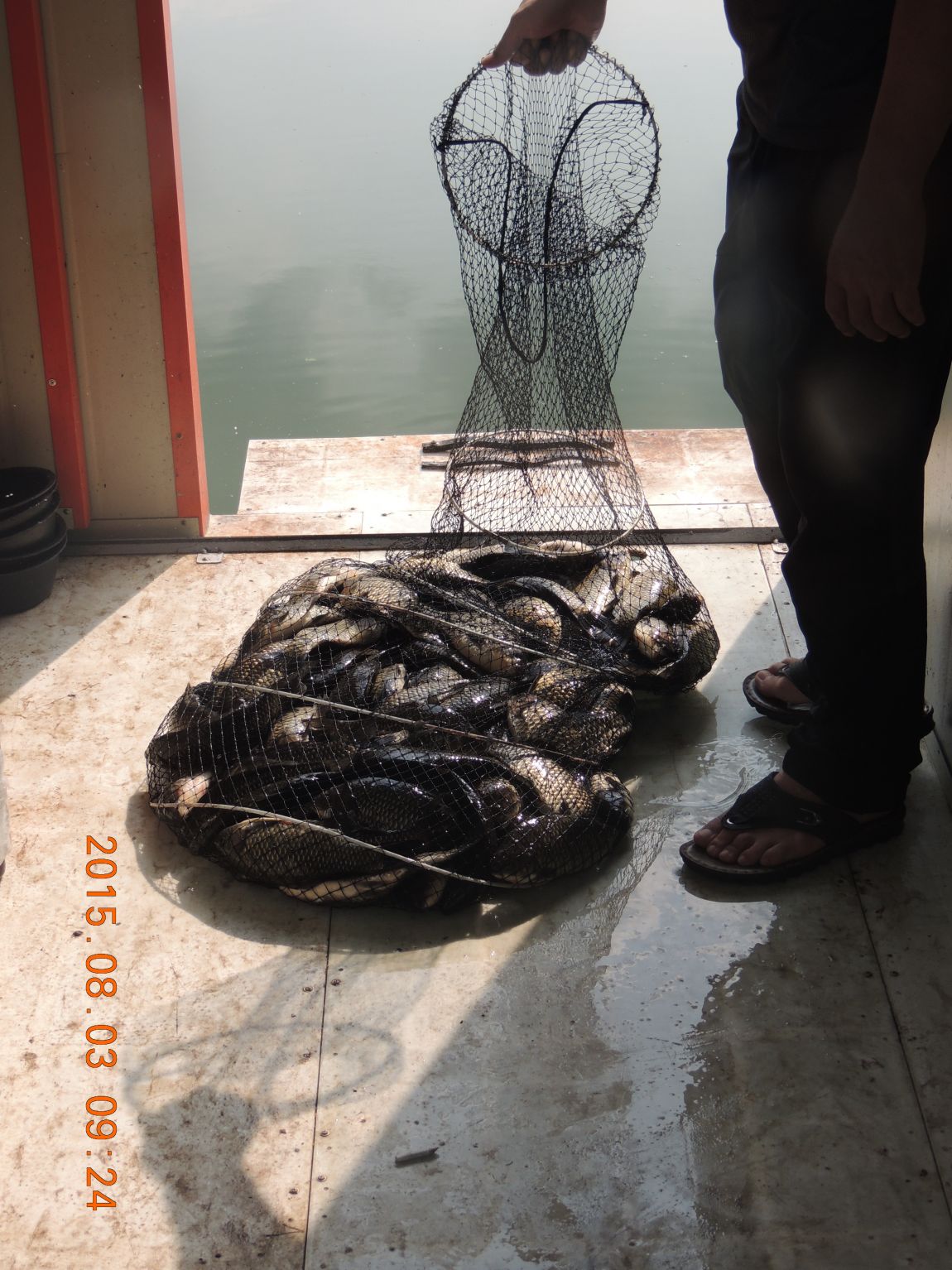 DSCN9854.JPG
