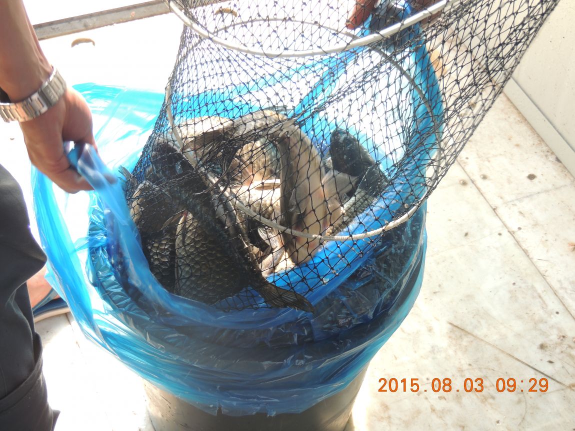 DSCN9855.JPG
