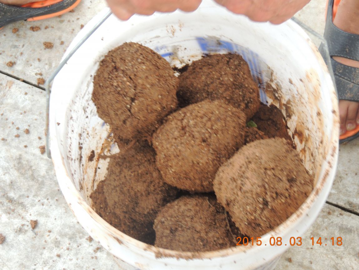 DSCN9883.JPG