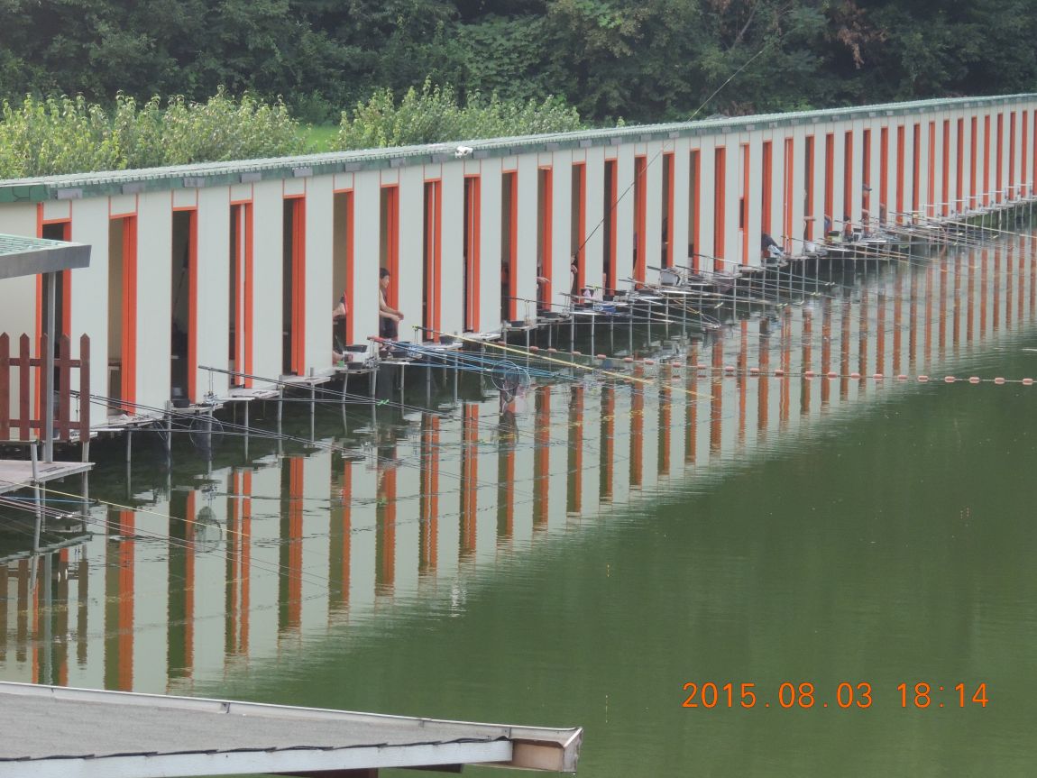DSCN9903.JPG