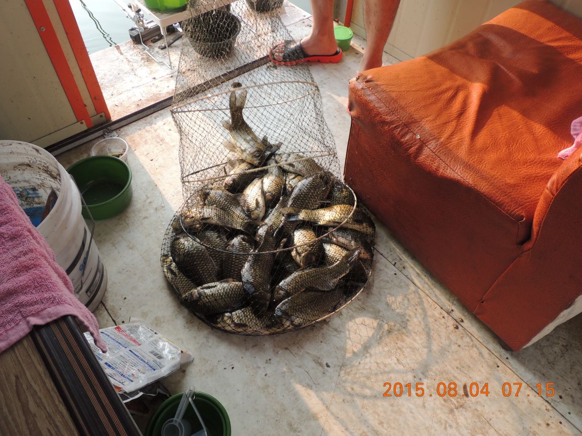DSCN9922.JPG