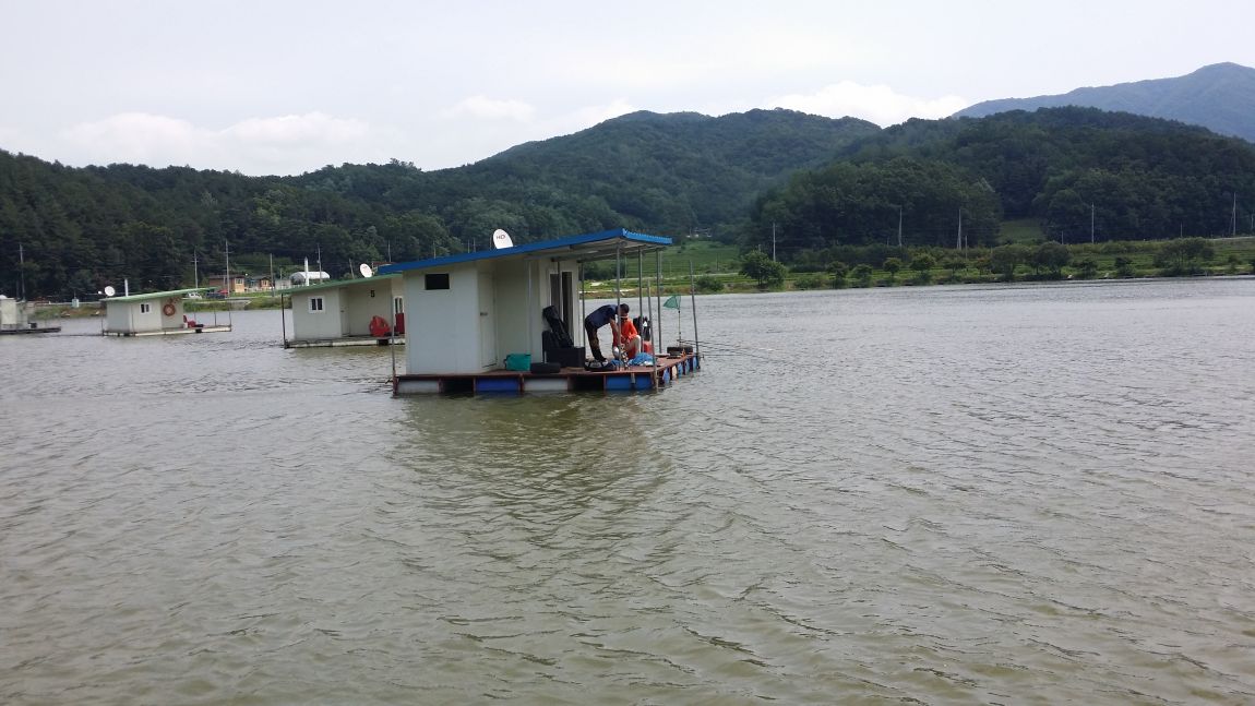 20150804_113218.jpg