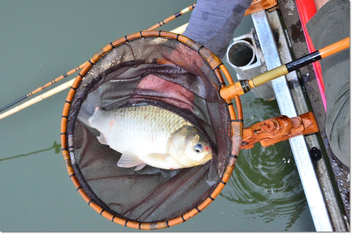 DSC_9483.JPG