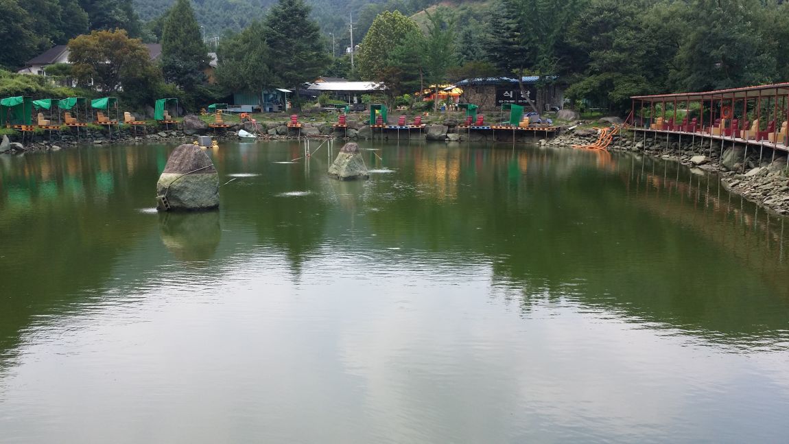 20150804_125203.jpg