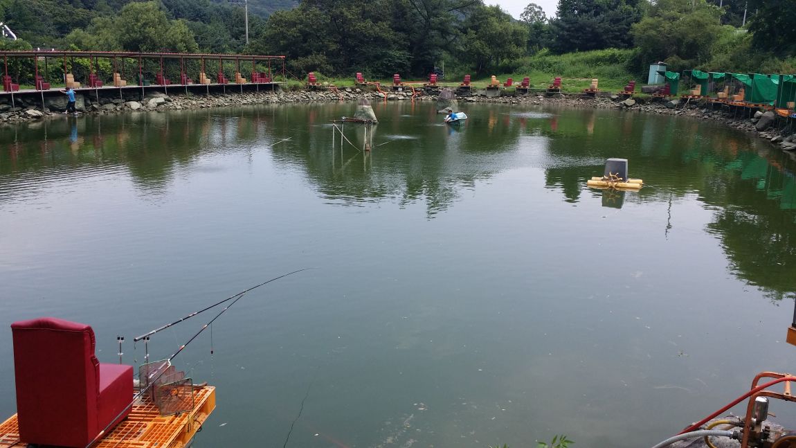 20150804_130153.jpg