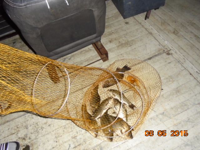DSC02916.JPG