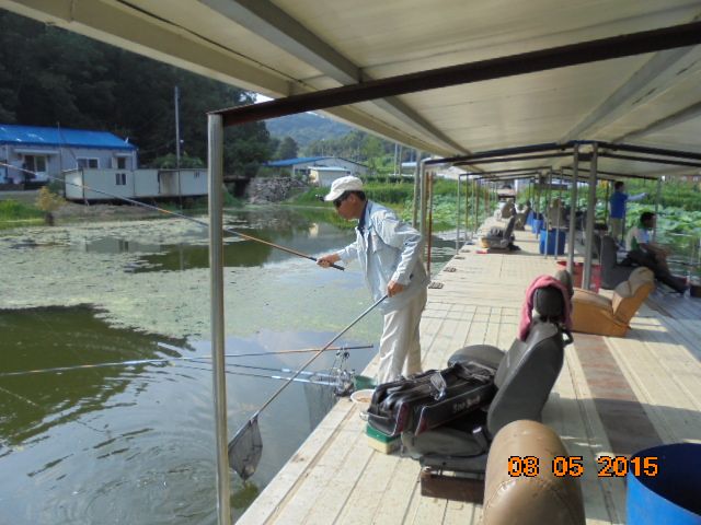 DSC02910.JPG