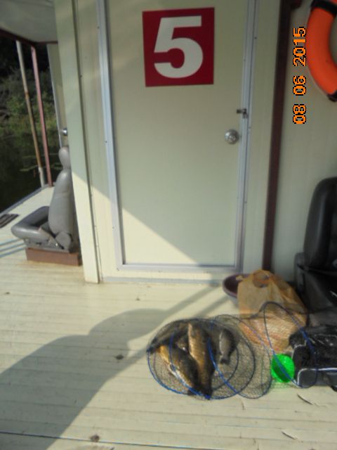 DSC02924.JPG