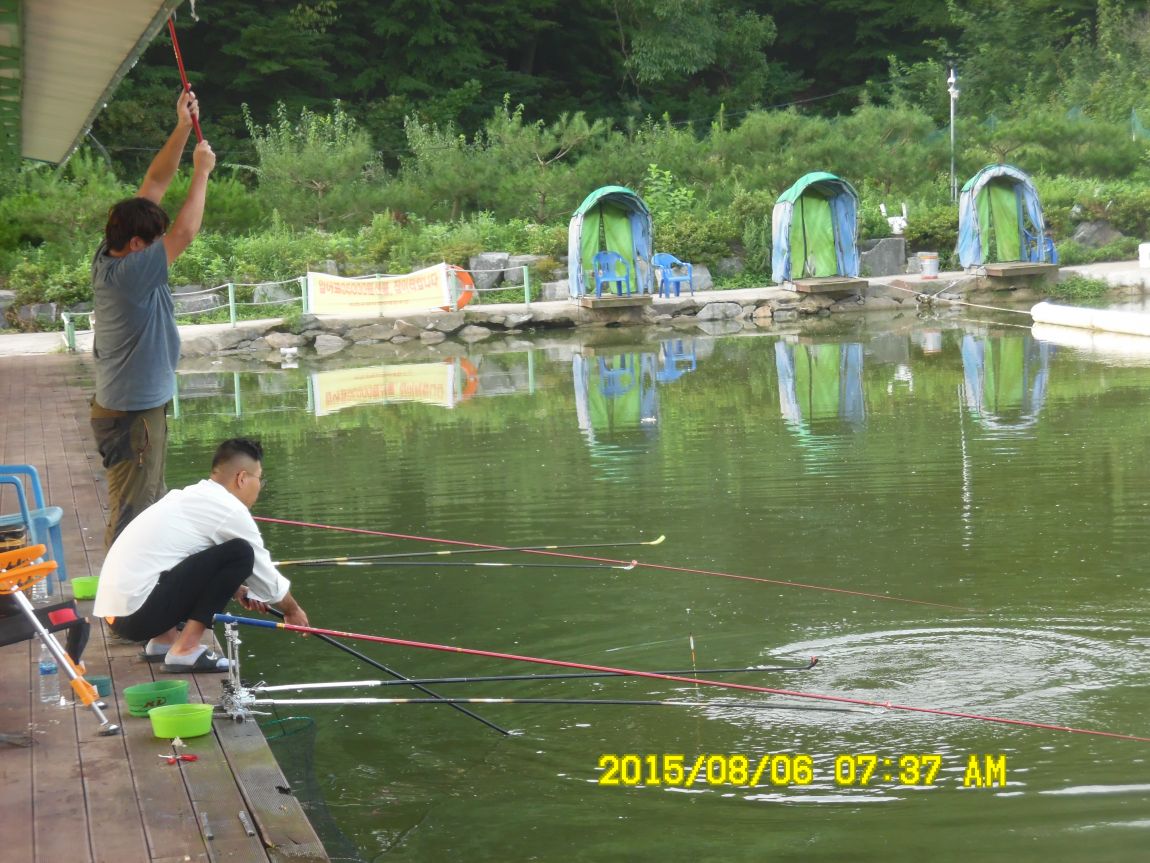 8��5��~6�� 001.JPG