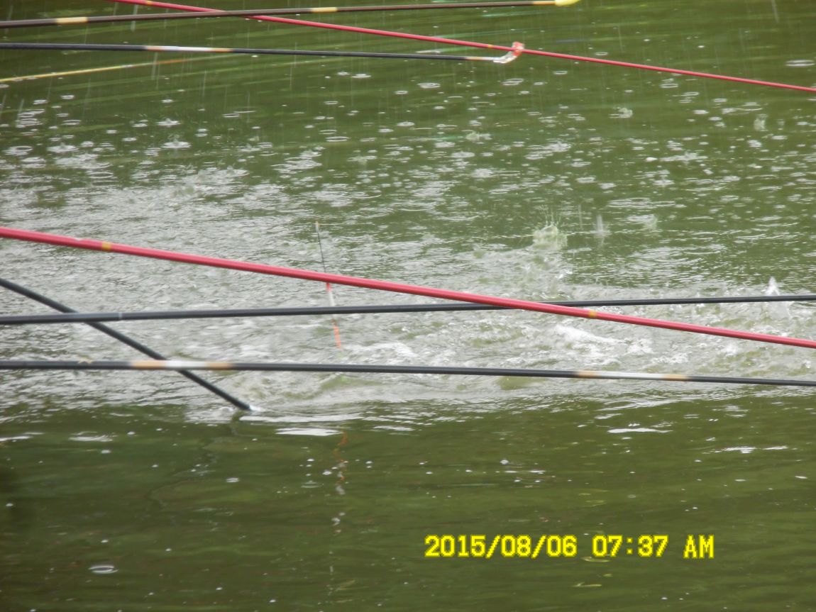 8��5��~6�� 002.JPG