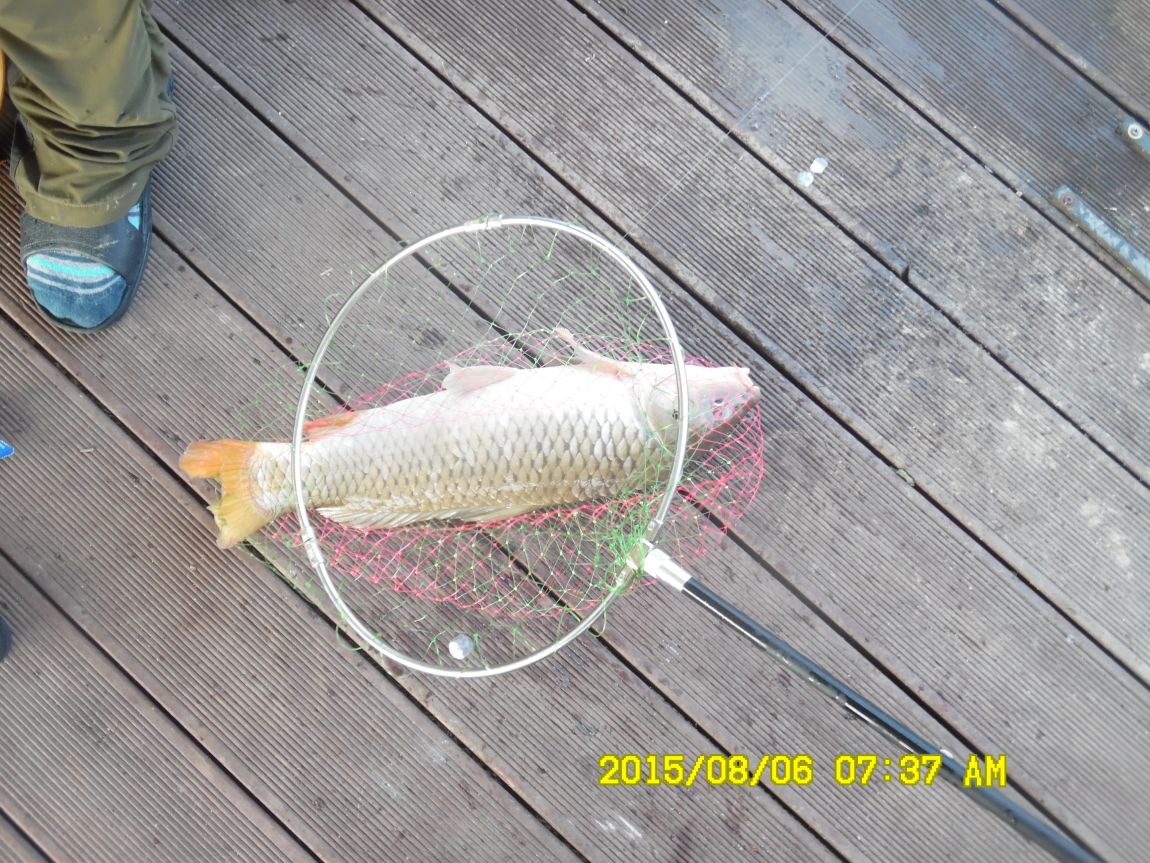 8��5��~6�� 003.JPG