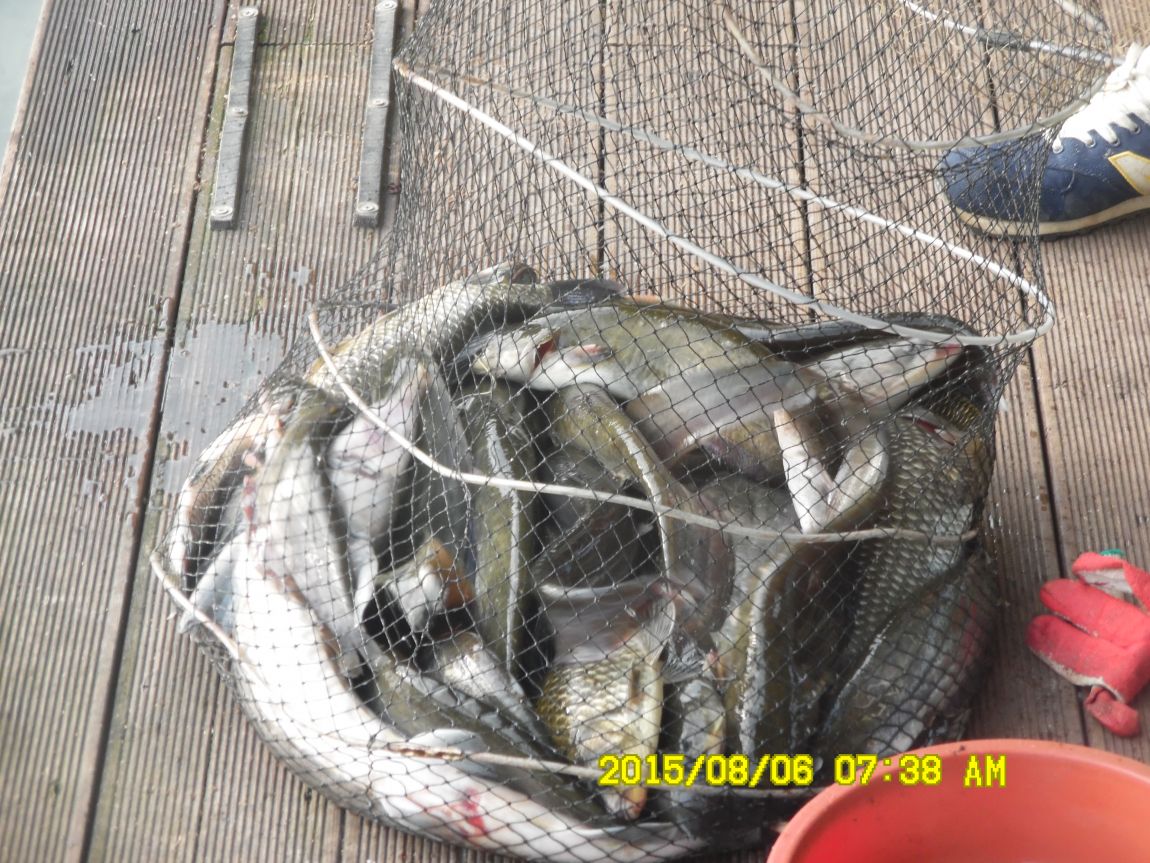 8��5��~6�� 005.JPG