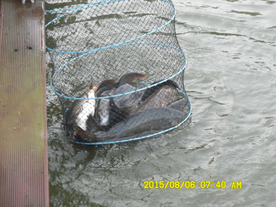 8��5��~6�� 010.JPG