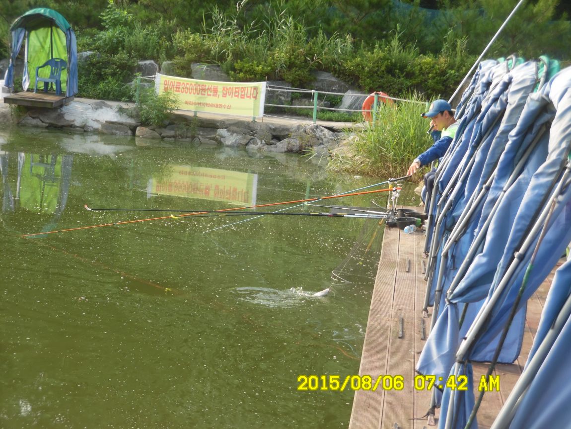 8��5��~6�� 011.JPG