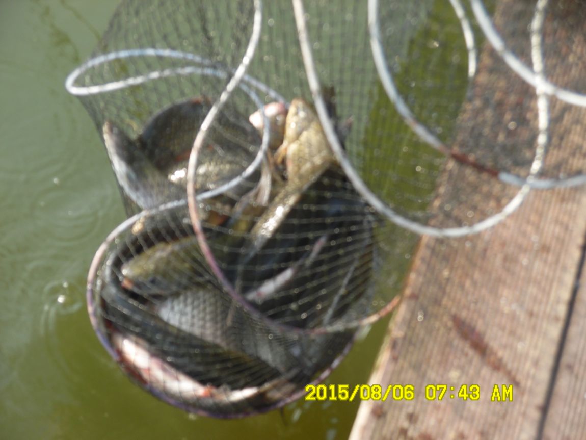 8��5��~6�� 013.JPG