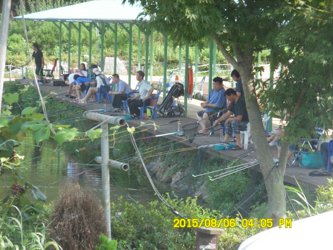 8��5��~6�� 014.JPG