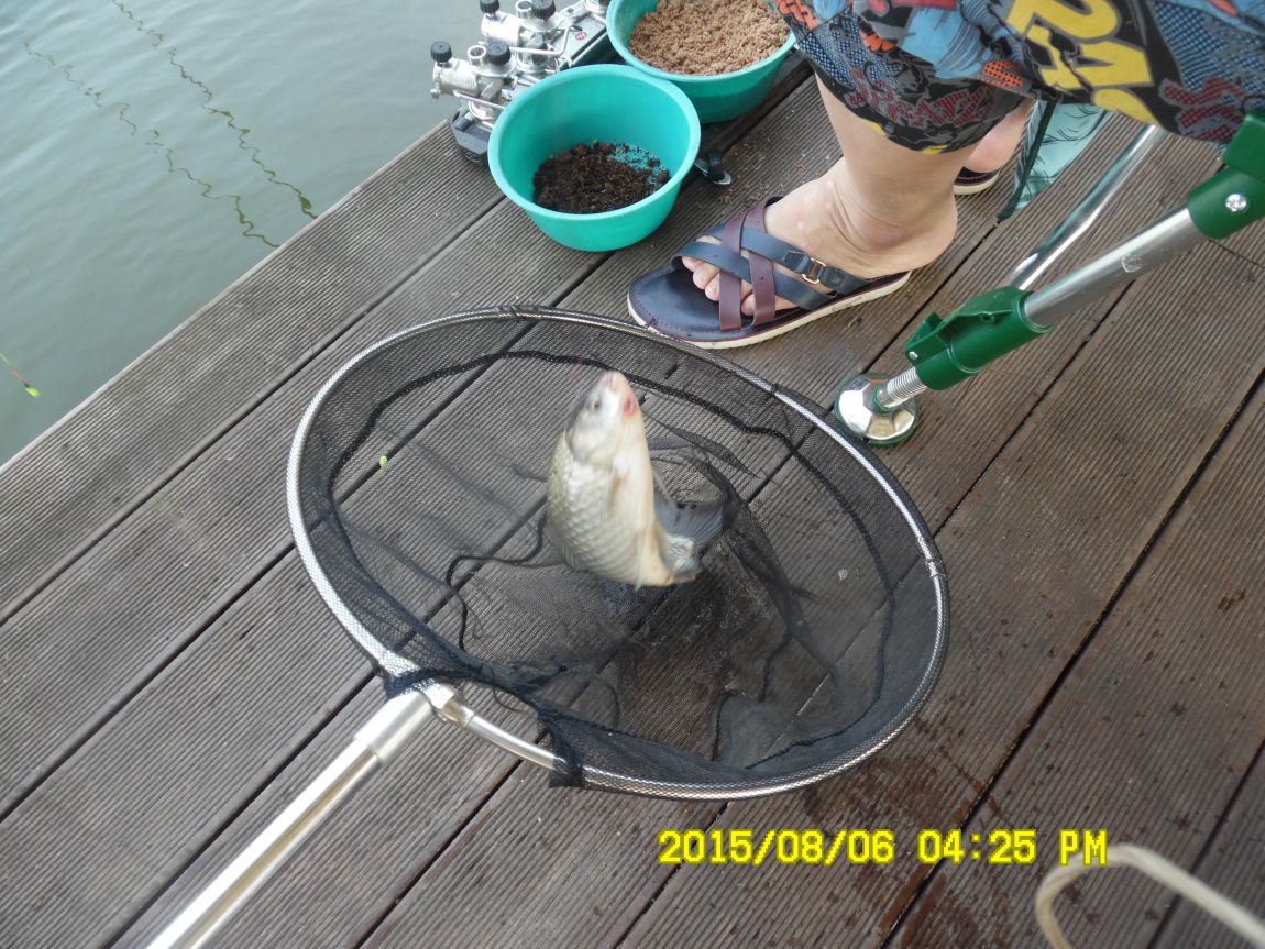 8��5��~6�� 016.JPG