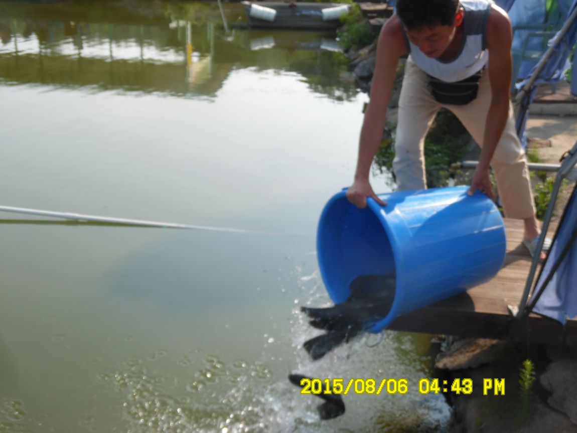 8��5��~6�� 017.JPG