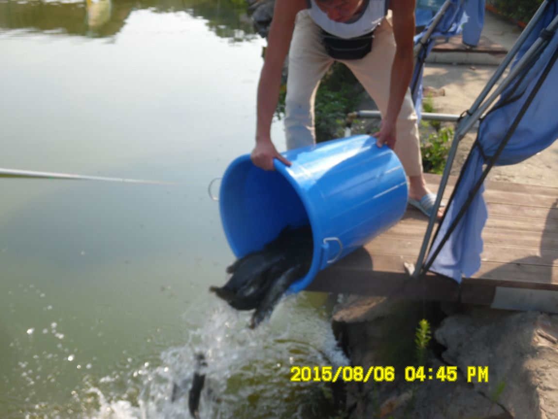 8��5��~6�� 018.JPG