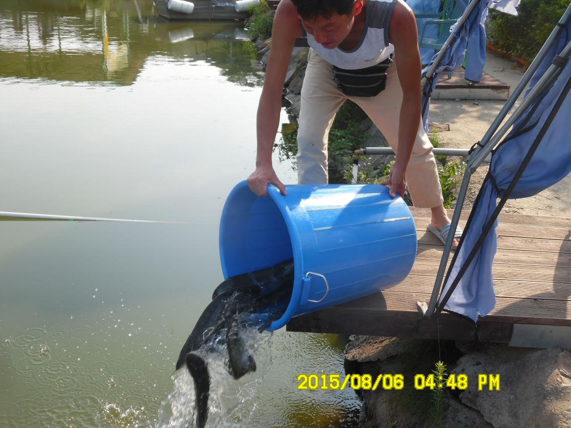 8��5��~6�� 020.JPG