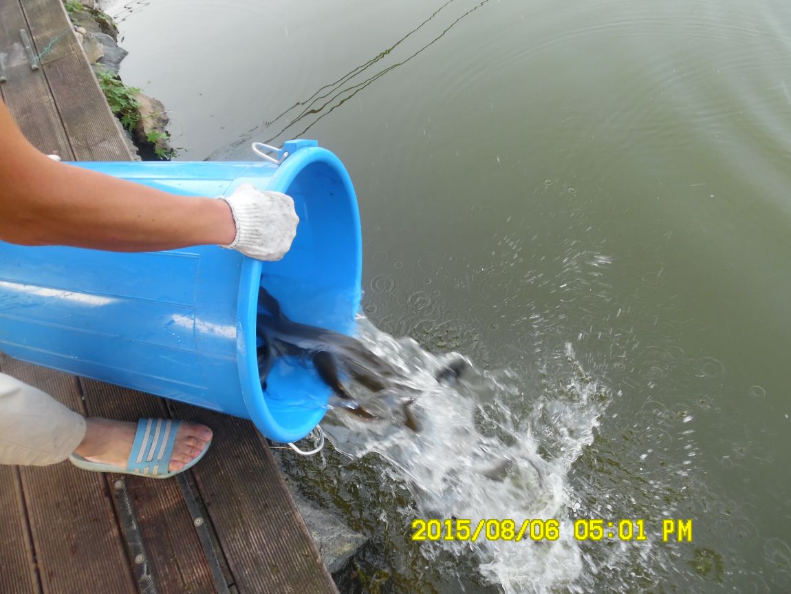 8��5��~6�� 024.JPG