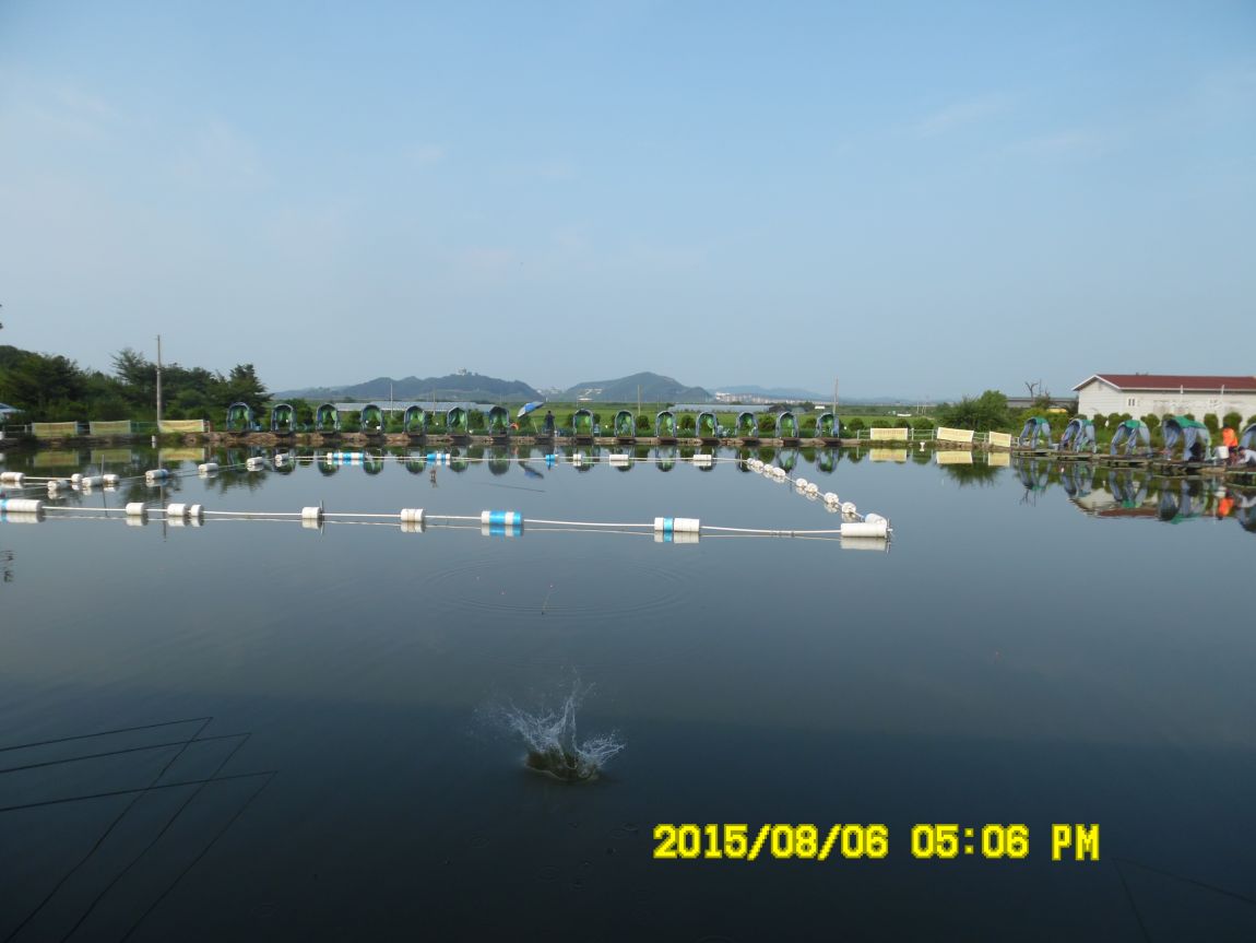 8��5��~6�� 027.JPG