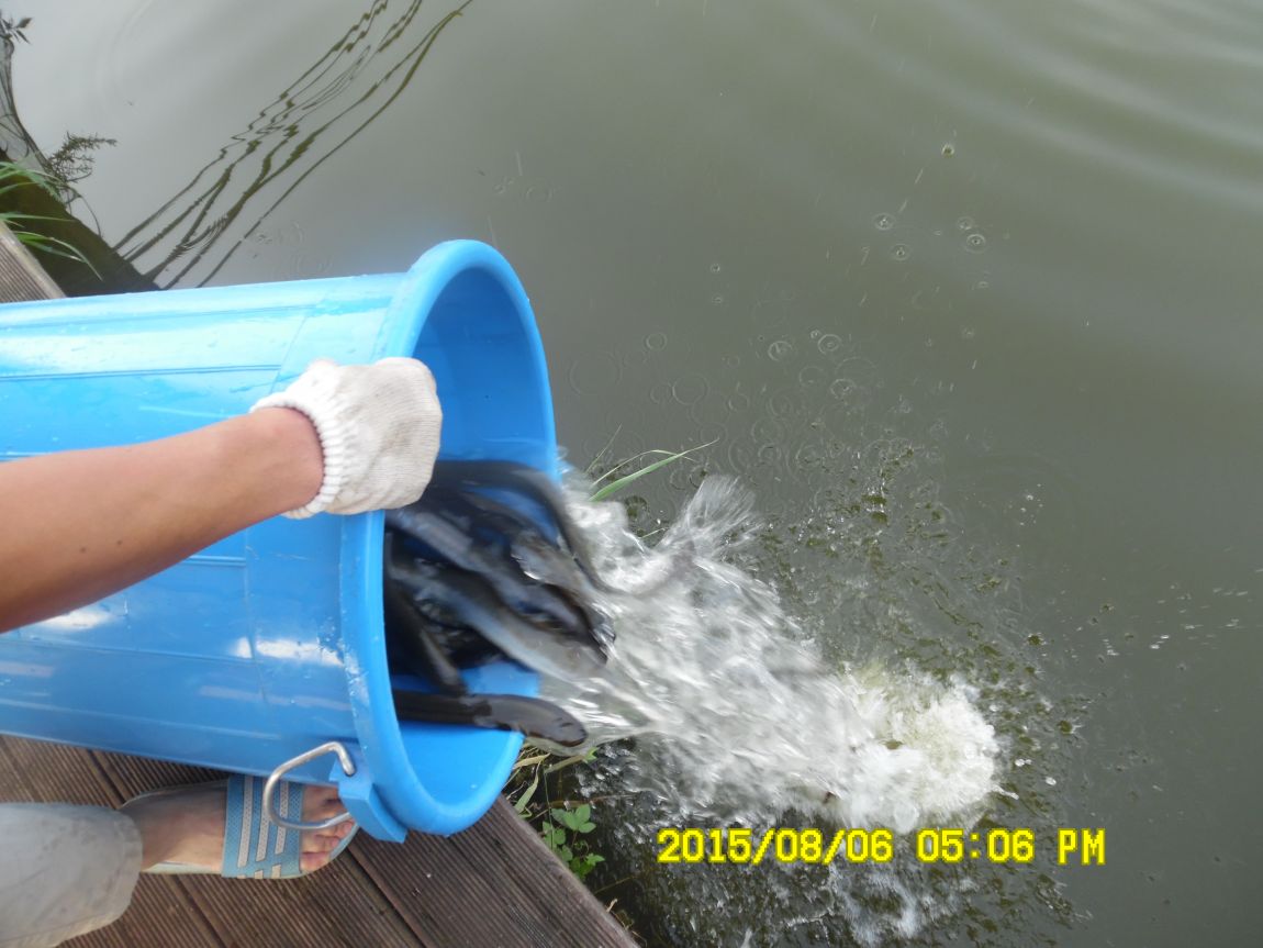 8��5��~6�� 028.JPG