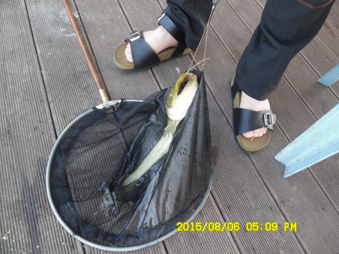 8��5��~6�� 030.JPG