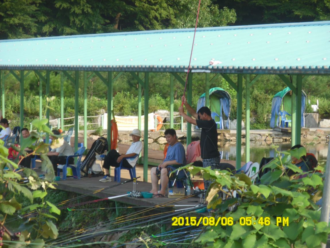 8��5��~6�� 031.JPG