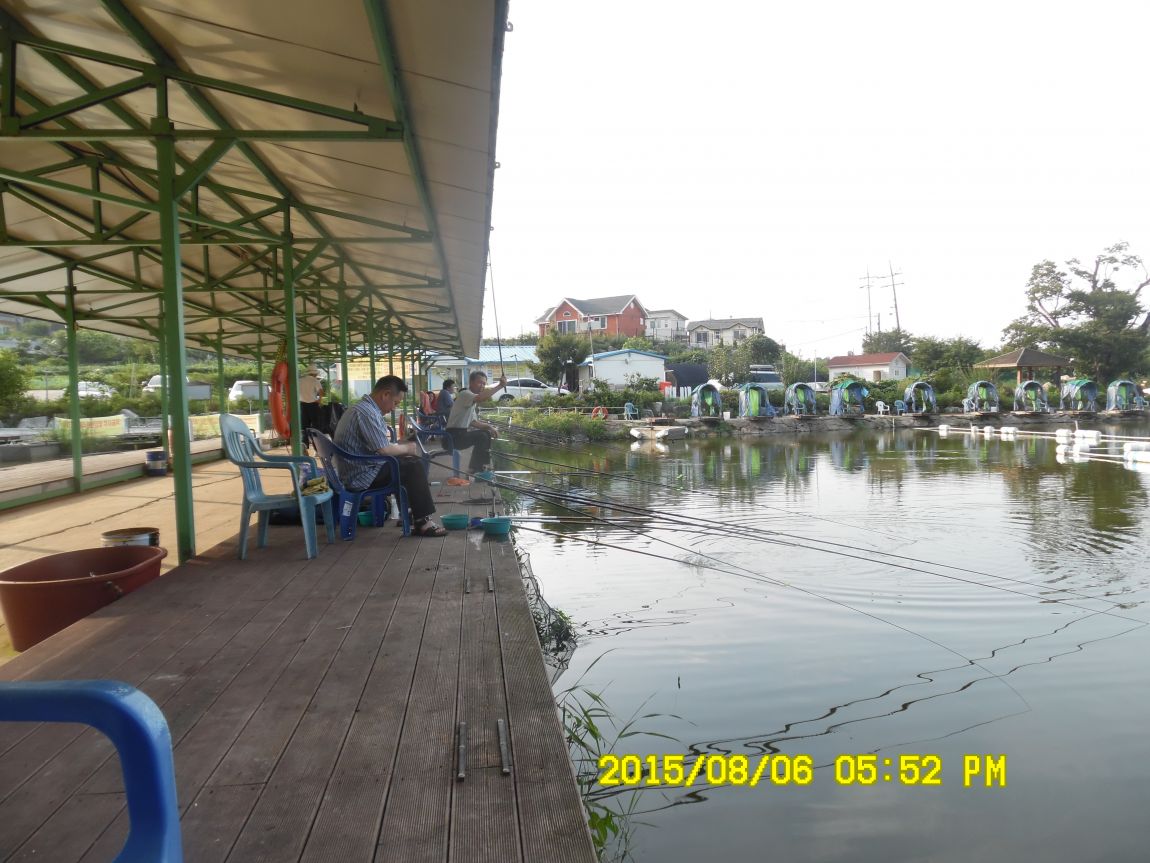 8��5��~6�� 032.JPG