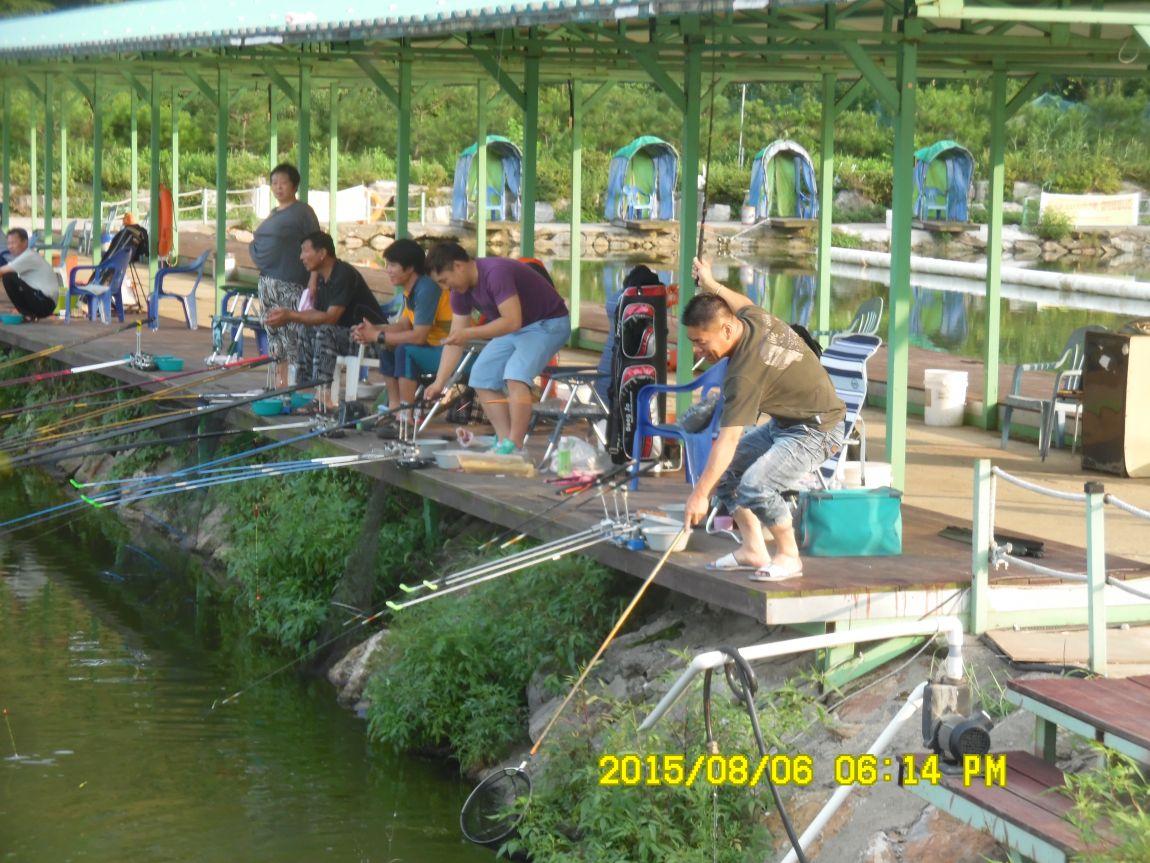 8��5��~6�� 033.JPG