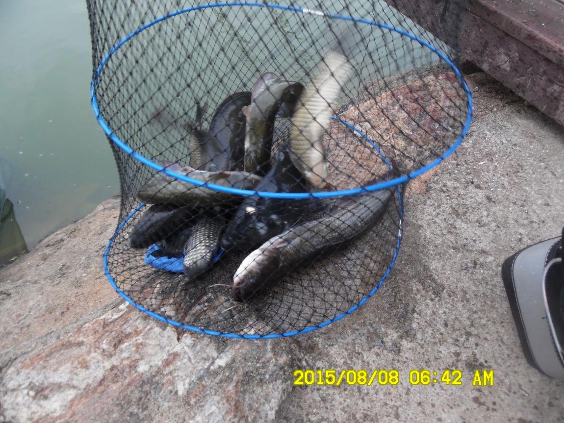 8��7��~9�� 003.JPG