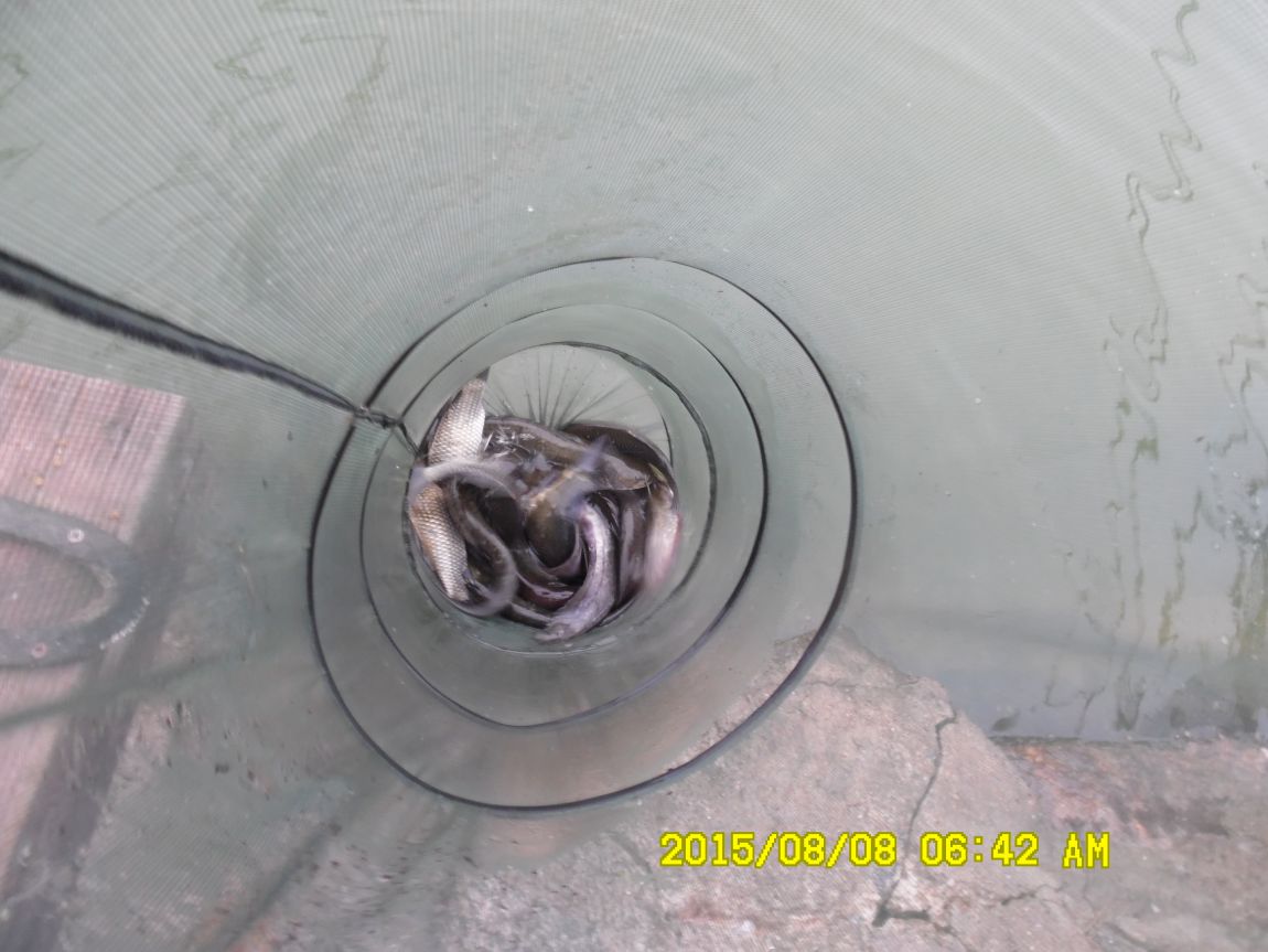 8��7��~9�� 004.JPG