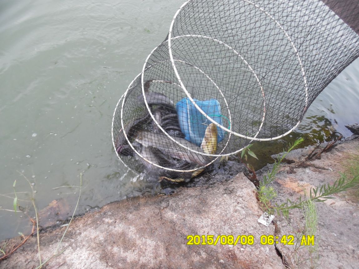 8��7��~9�� 005.JPG