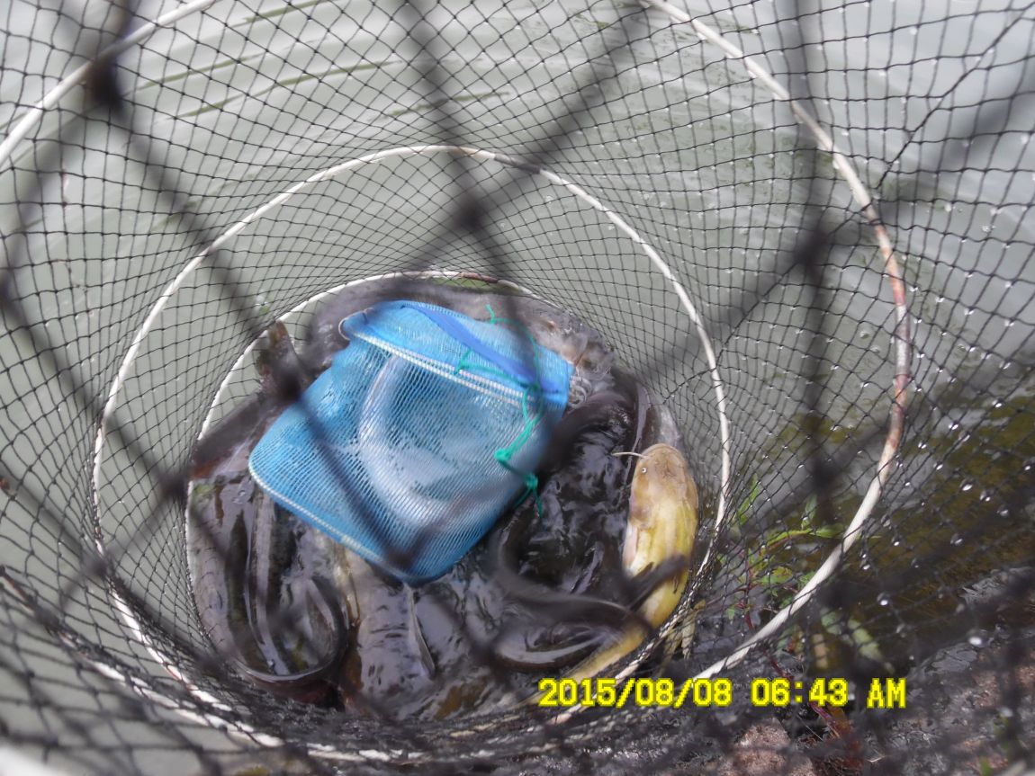 8��7��~9�� 006.JPG