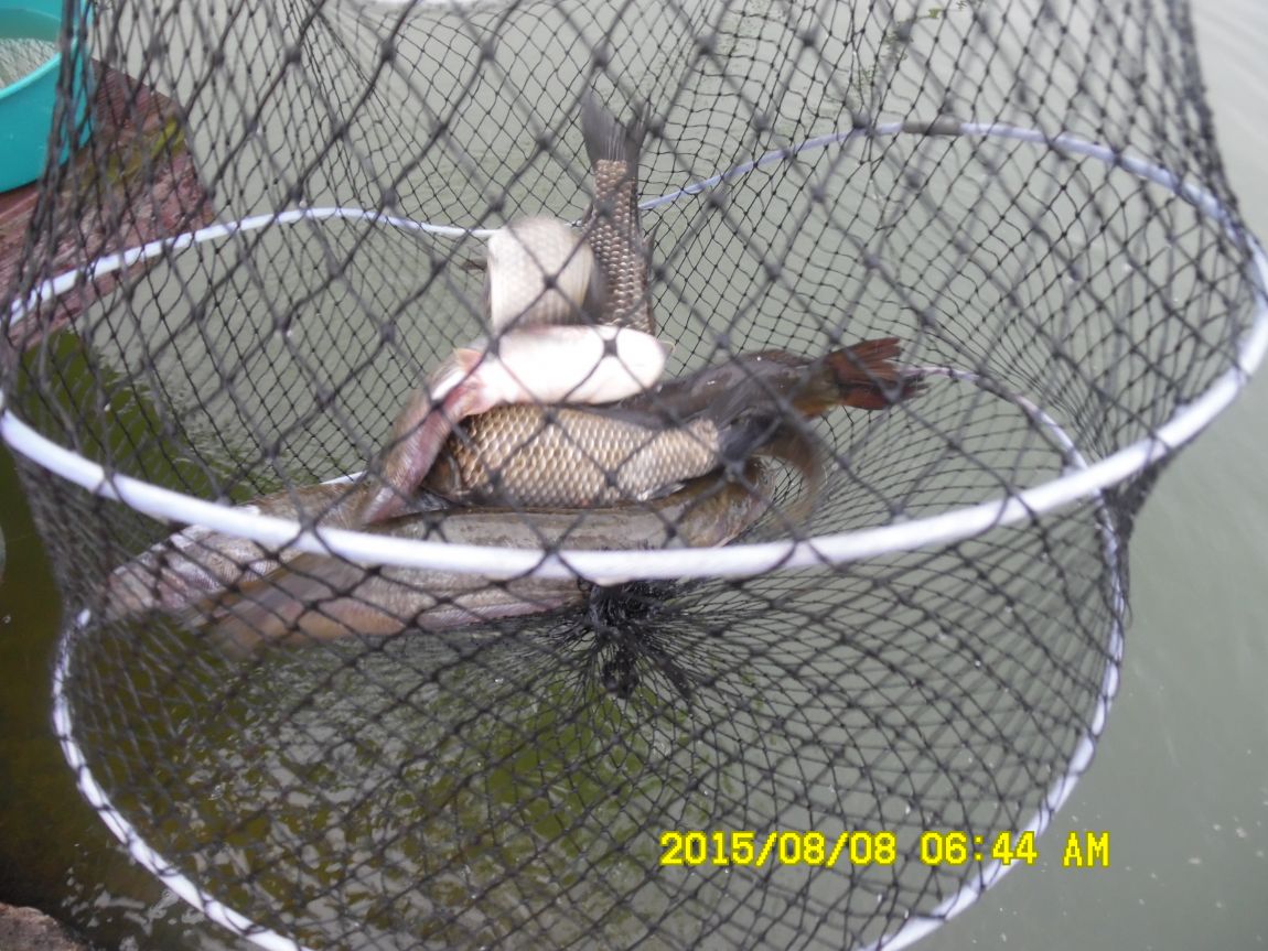 8��7��~9�� 008.JPG