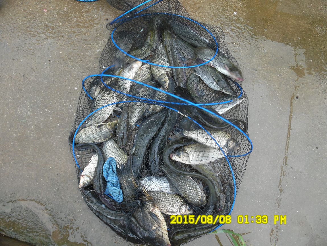 8��7��~9�� 010.JPG