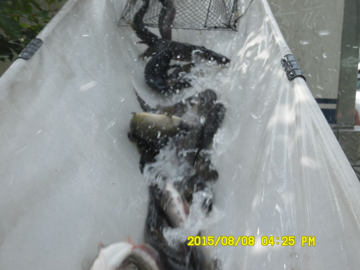 8��7��~9�� 011.JPG