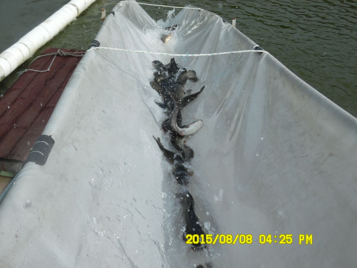 8��7��~9�� 012.JPG