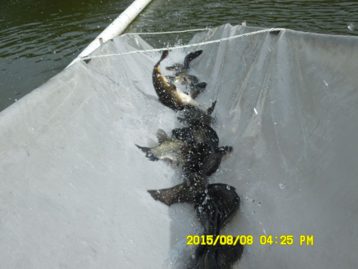 8��7��~9�� 013.JPG