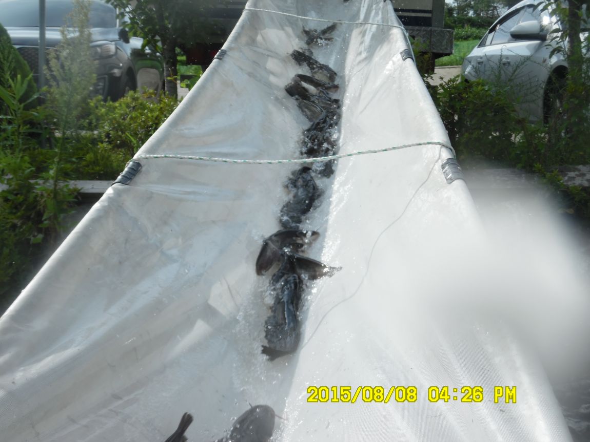 8��7��~9�� 014.JPG